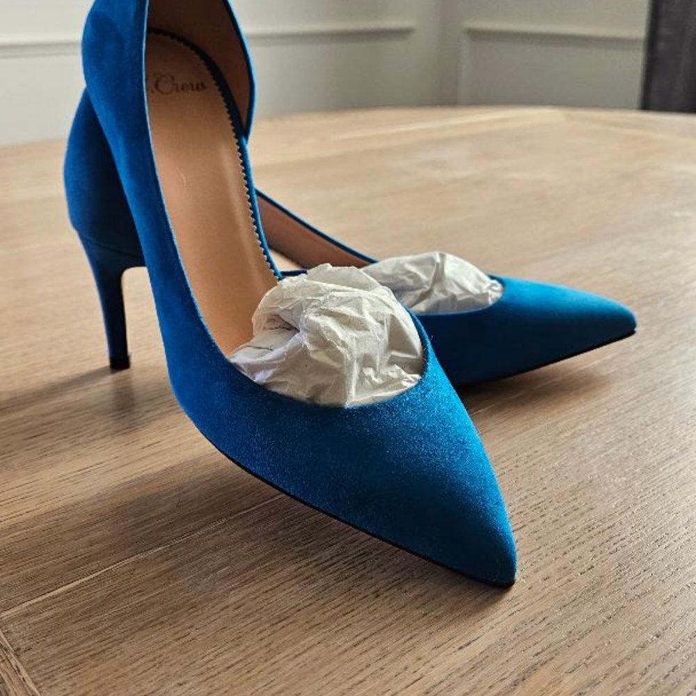J.Crew Suede Pumps